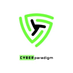 Cyber paradigm
